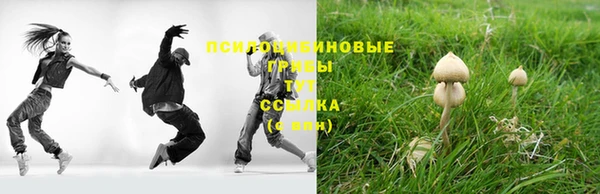 трава Алексин